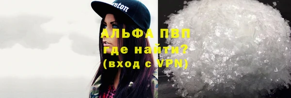 прущие грибы Гусев