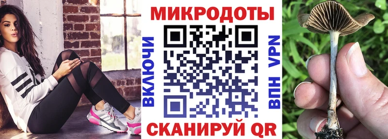 Галлюциногенные грибы Cubensis  где купить наркоту  Новая Усмань 
